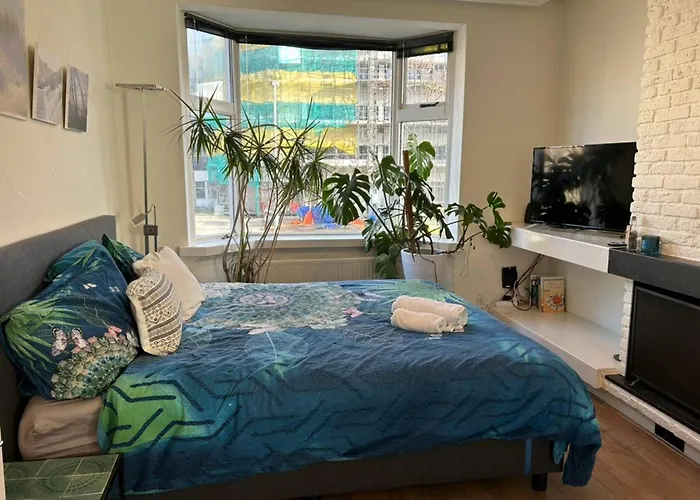 City Center Rooms With Shared Facilities By Umcg